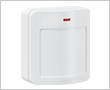 Wireless motion detector